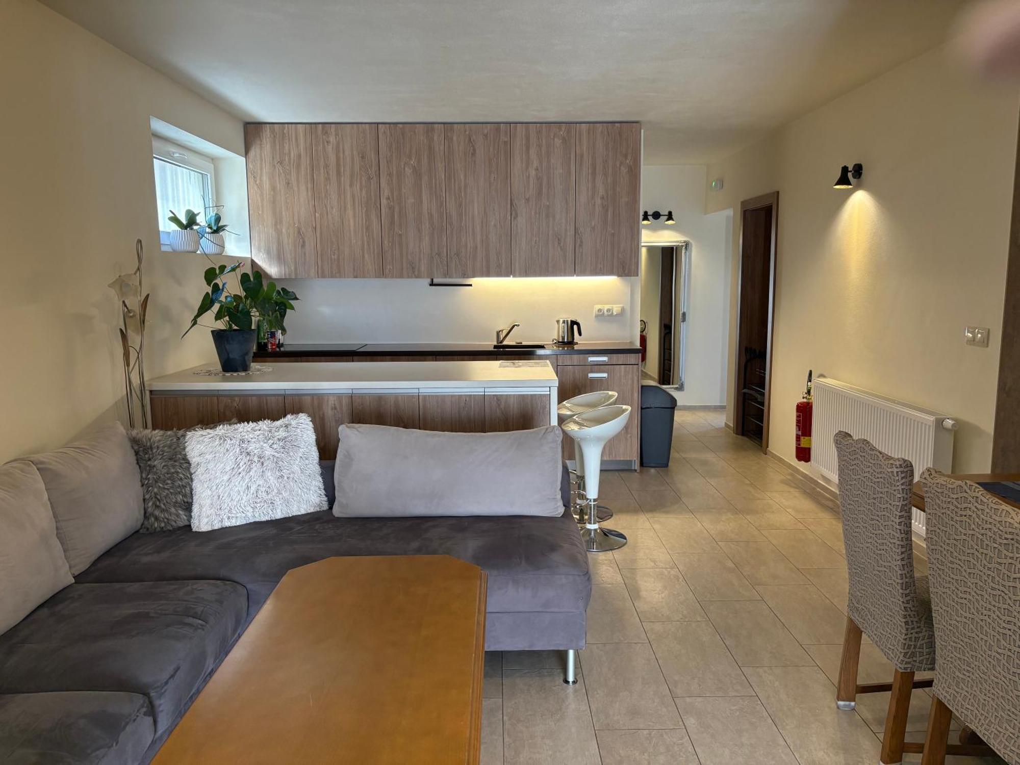 Apartmany I - Kafe ボイニツェ エクステリア 写真